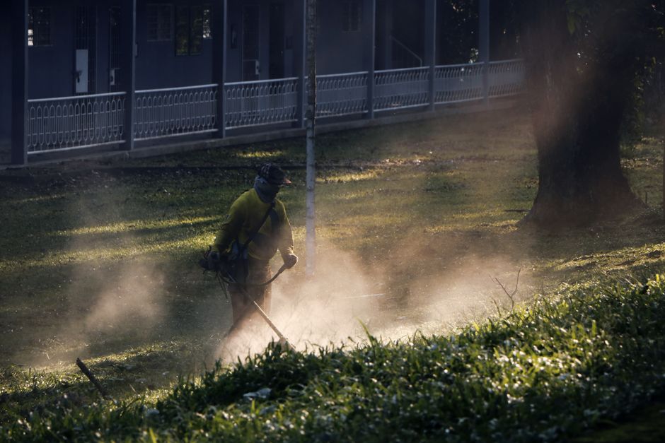 Professional landscaper working diligently on a lawn