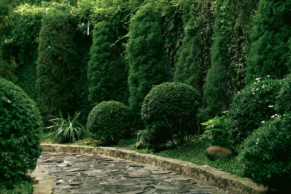 Beautiful landscaped backyard with manicured lawn